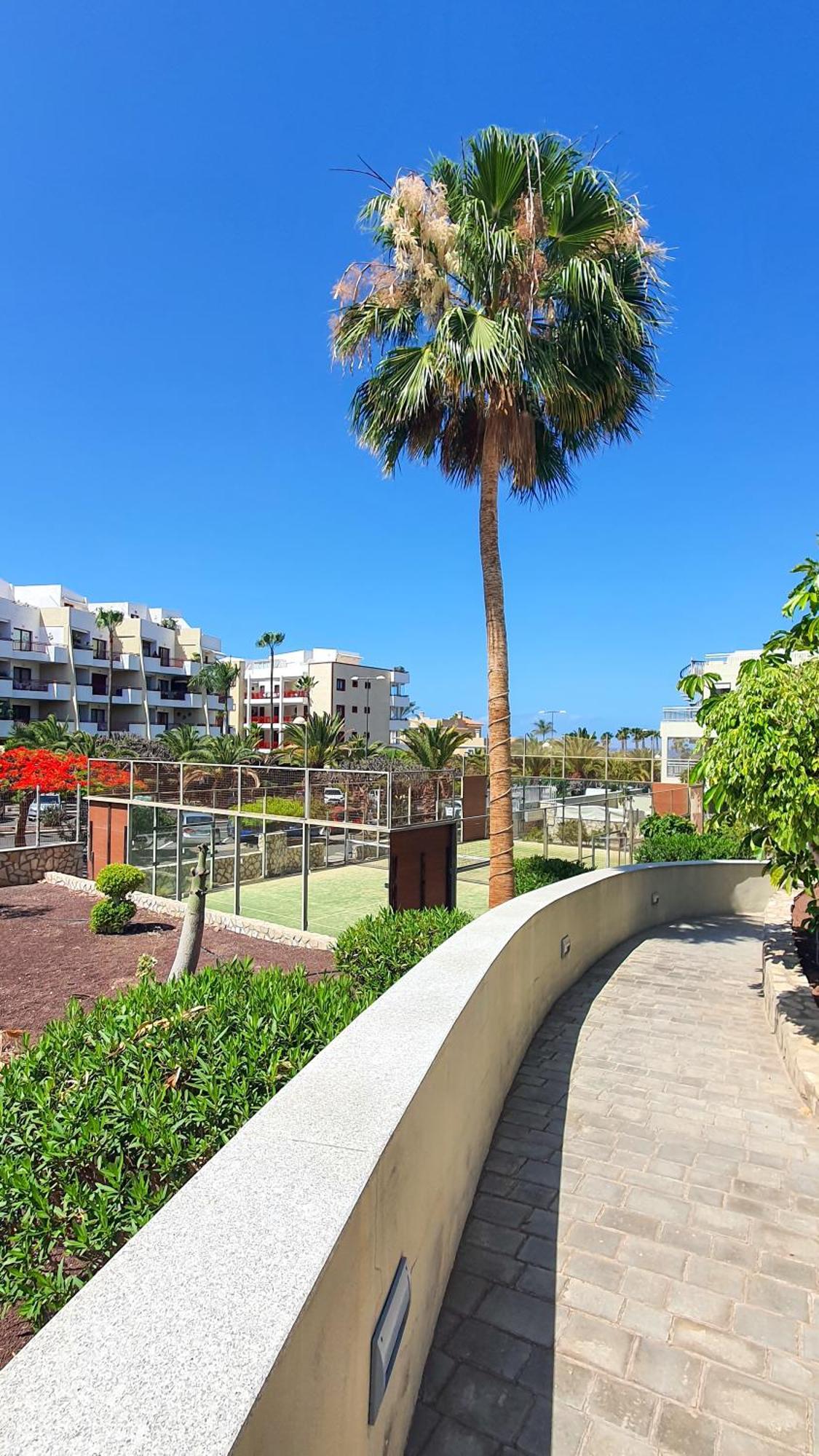 Terraza Sea & Sun Apartment Palm-mar Exterior photo
